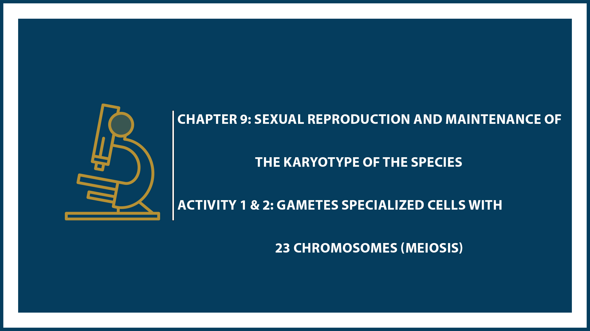 Chapter 9: Activity 1 and 2: Gametes Specialized Cells with 23 Chromosomes (Meiosis)